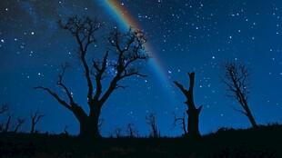 夜空下枯树与绚丽星虹