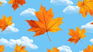 秋日蓝天下的缤纷枫叶