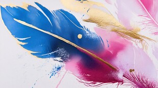 梦幻多彩羽毛艺术画面