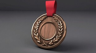 铜质奖牌配红丝带