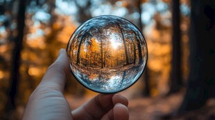 手持水晶球中的秋日森林