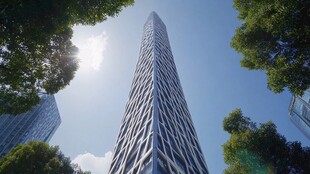 摩天大楼耸立于绿荫之间