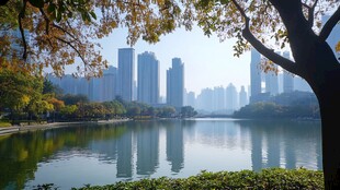 湖畔都市秋景 树影婆娑