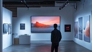 男人于展厅赏艺术画作