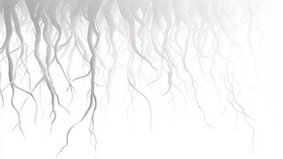 灰白树根蔓延纹理背景图