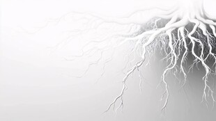 白色根系艺术抽象背景图