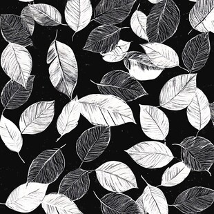 黑白手绘树叶无缝图案