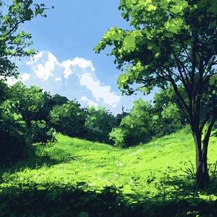 夏日绿意盎然的林间草地