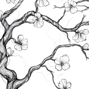 黑白手绘花卉树枝图案