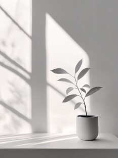 窗台上的简约绿植盆栽