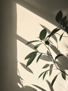 光影下的绿植枝叶