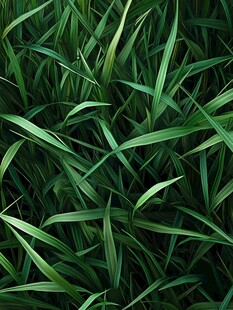 翠绿青草背景图