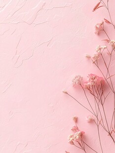 粉色背景上的精致干花装饰