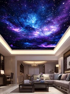梦幻星空客厅天花板壁画