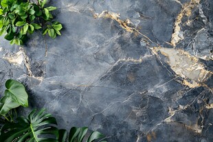 灰纹大理石与绿植装饰景