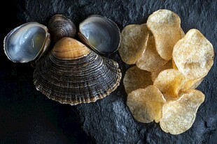 蛤蜊与薯片的创意组合