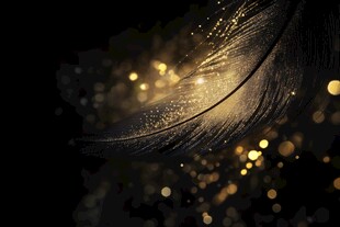 梦幻金羽 闪烁微光