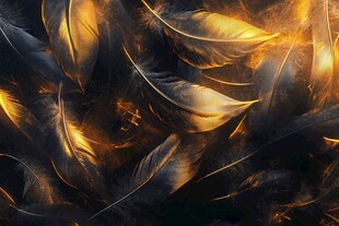 梦幻金黑交织的羽毛世界