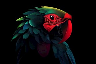 色彩绚丽的鹦鹉头部特写