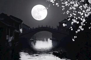 月夜下的水乡石桥美景