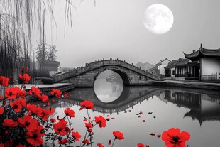 月夜下的中式水乡美景