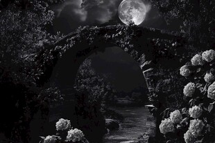 月夜下的石桥与繁花盛景