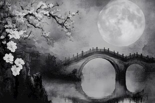 月夜桥畔绽花枝