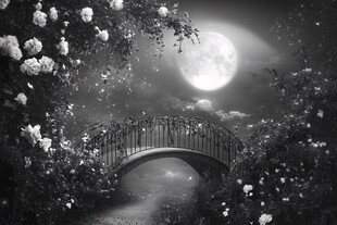 月夜花桥梦幻景致