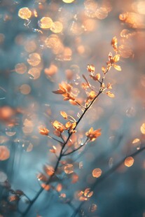 秋日枝头光影梦幻景致