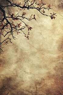复古风枝头背景图