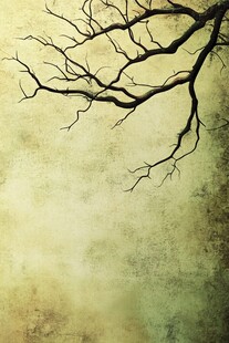 枯树枝干的复古风背景图