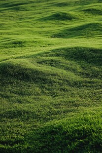 绿意盎然的起伏草地