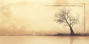 孤独枯树于朦胧空间