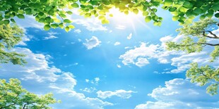 夏日绿荫下的晴朗天空