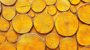 原木切片墙面的自然美感