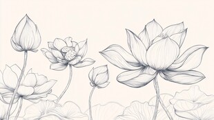 线描荷花图 清雅中式花卉