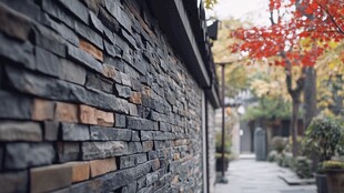 石墙小径旁的秋日景致