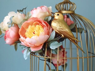金鸟栖花笼 雅致装饰景