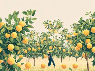 漫步橘园的惬意时刻