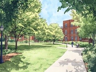 校园绿意盎然的宁静小径