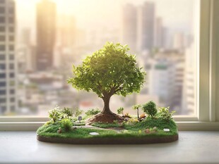 窗边微缩绿意与城市远景