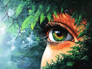 梦幻之眼藏于葱郁绿意间