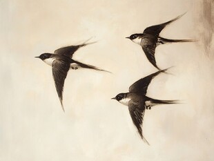 三只燕子空中飞翔图
