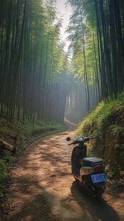 竹林小道上的静谧摩托车