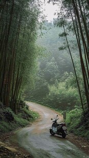 竹林间小道上的摩托车