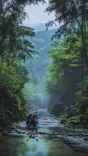 山林间骑行的静谧之景