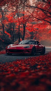 红叶林中的红色酷炫跑车