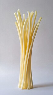 直立的黄色空心面条