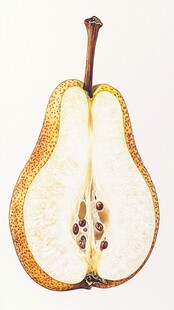 切开的黄皮梨展示内部结构