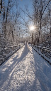 冬日雪桥 阳光洒落林间路